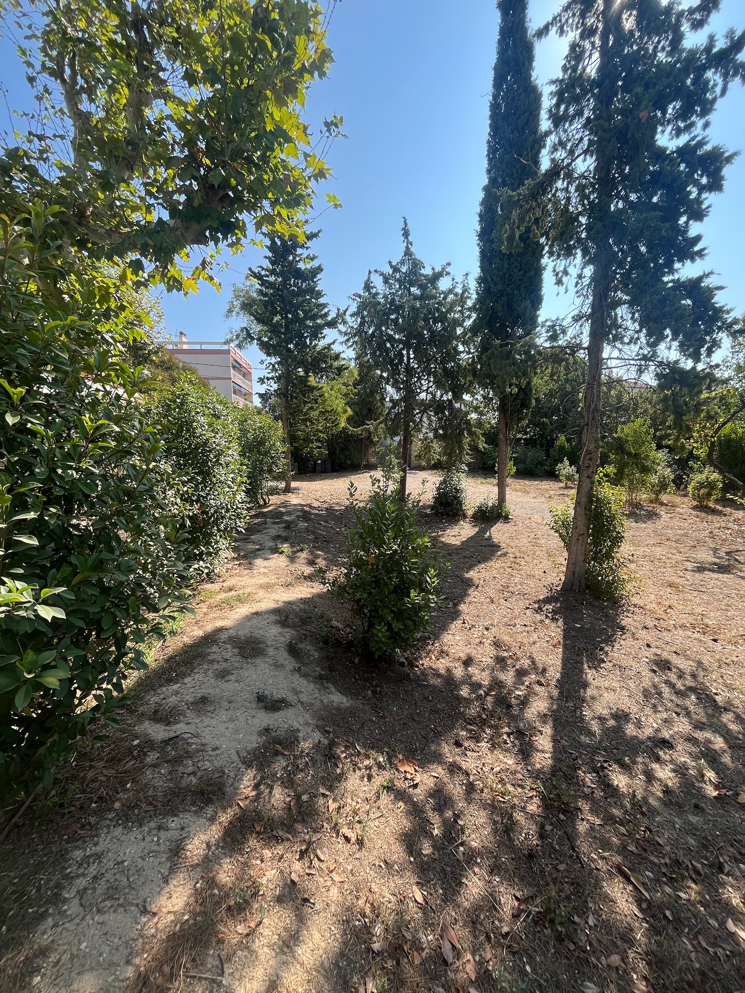 Chantier Bianco - Photo 30